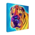 thumbnail image 2 of Trademark Fine Art 'Sharpei Big Man' Canvas Art by DawgArt, 2 of 3