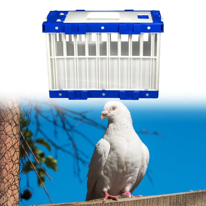Quick Assembly Plastic Bird Cage Removable Panel for Pigeons Quail Squirrels Outdoor Exercise Transport