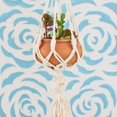 thumbnail image 4 of Mini Macrame Terracotta Hanging Pot, 4 of 4
