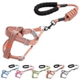 thumbnail image 2 of Pet Harness Leash Set Adjustable Foam Handle Car Harness Dog Harness with Leash, 2 of 8