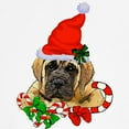 thumbnail image 3 of CafePress - English Mastiff Christmas Maternity T Shirt - Cotton Maternity T-shirt, Cute & Funny Pregnancy Tee, 3 of 4