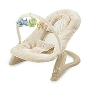 Summer Infant Deluxe Soft Embrace Bouncer, Gund