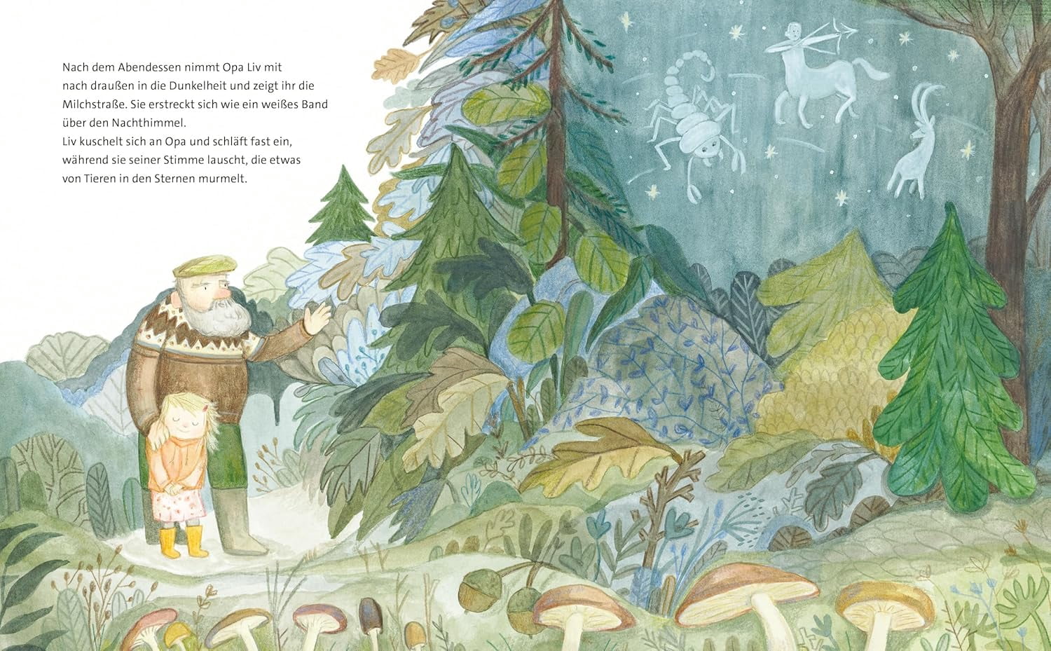 Anne Sofie Allermann,Viola Ro Liv - Kein Märchen: Einfühlsames Bilderbuch über die (Hardcover)