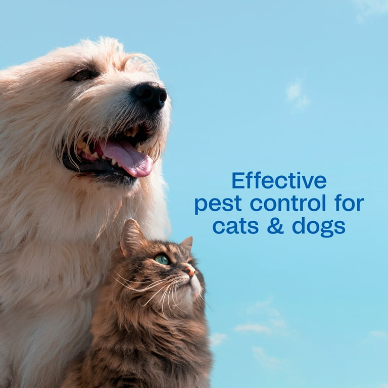 Adams Flea & Tick Spray for Dogs and Cats, 16 oz