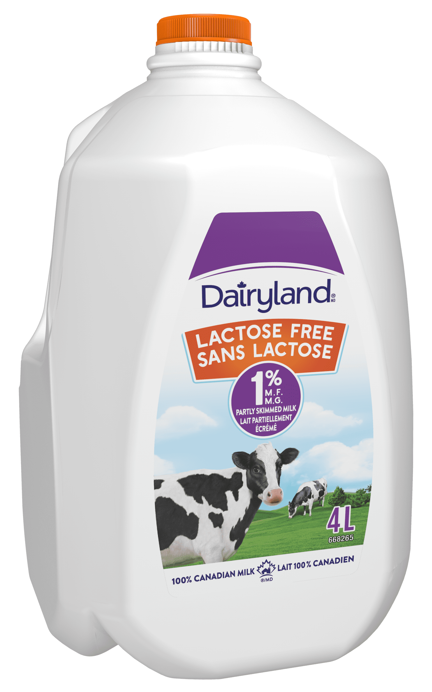 Dairyland Lactose free 1% Partly Skimmed Milk, 4L