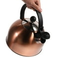 thumbnail image 3 of ifundom Water Heating Kettle 1Pcs Stainless Steel Heat Resistance Bronze Color, 3 of 6