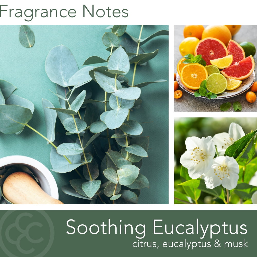 Colonial Candle Wellness Soothing Eucalyptus Candle, 2 Wick, 16 oz, 60 Hours Burn, Woody & Earthy