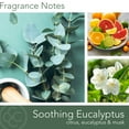 thumbnail image 5 of Colonial Candle Wellness Soothing Eucalyptus Candle, 2 Wick, 16 oz, 60 Hours Burn, Woody & Earthy, 5 of 7