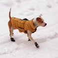 thumbnail image 3 of Botas impermeables para perros con Velcro reflectante, suela antideslizante resistente y antideslizante para exteriores, para perros medianos a grandes 6 yards, 3 of 5