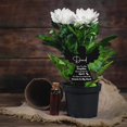 thumbnail image 2 of Parents Angel Memorial Stake Stakes Insert Relatives Outdoor Decoration, 2 of 4