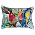 thumbnail image 2 of Parrot Family Large Indoor/Outdoor Pillow 16x20, 2 of 3