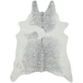 thumbnail image 1 of Loloi II Bryce Grey / Silver - 5' x 6'-6", 1 of 1