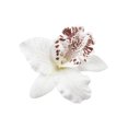 thumbnail image 1 of Jumpingount Horquilla con patrón de flores, decoración de moda, pasador para el pelo, adorno para el pelo, tocado, accesorio de fotografía de cumpleaños Accesorio para el cabello Blanco Jumpingount AP012915-01, 1 of 6