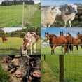thumbnail image 7 of Memoryfield 5.9ft x 164ft Galvanized Cattle Fence, Heavy Duty Livestock Wire Fence for Cattle, Sheep, Pig & Deer, Rust-Resistant Farm & Garden Fence, 7 of 7