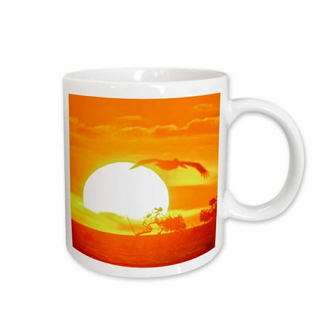 

Elizabeth Bay Isabela Island Galapagos 11oz Mug mug-10127-1