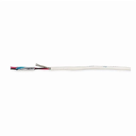 Carol Data Cable,Riser,2 Wire,Natural,1000ft E2102S.30.86