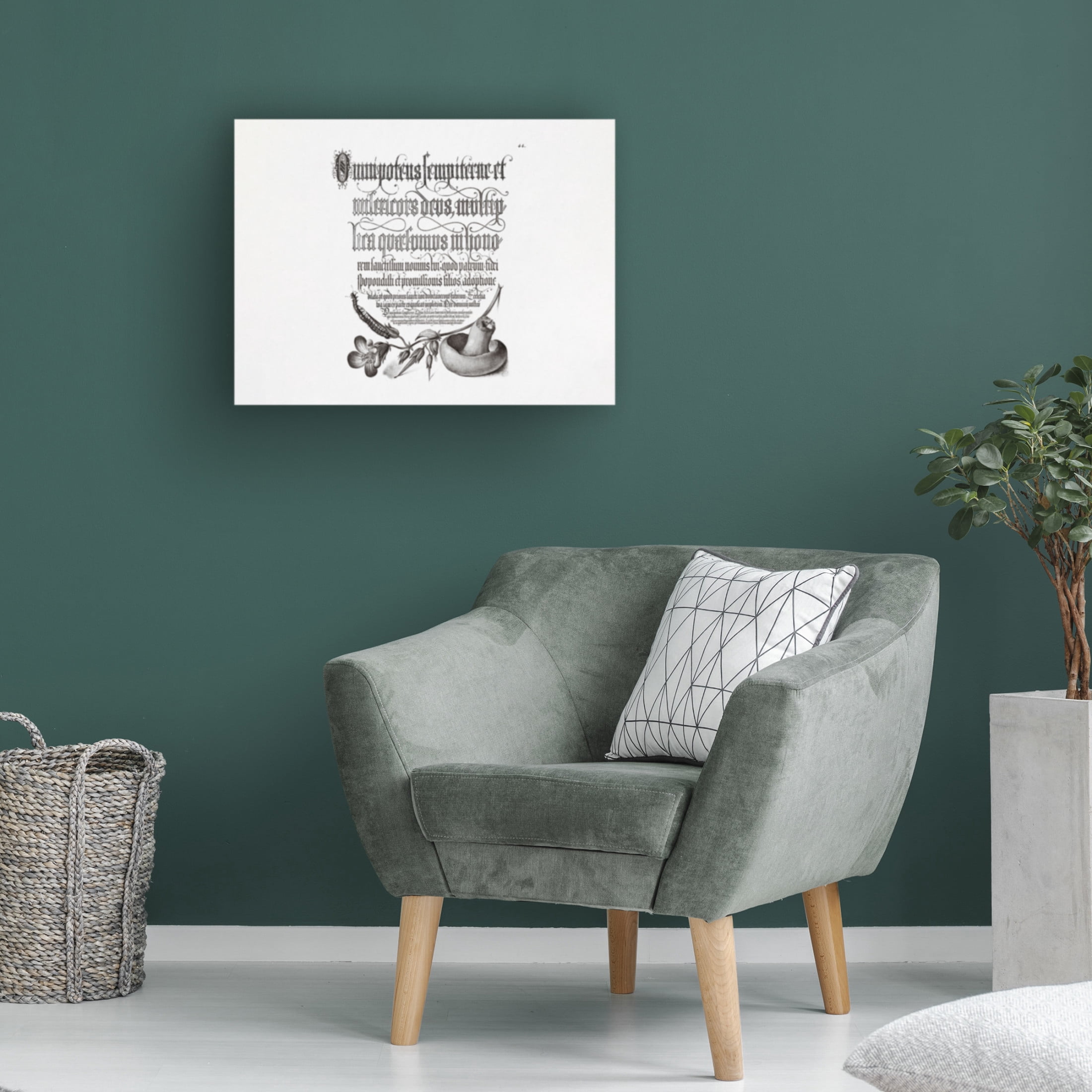 Trademark Fine Art Pictufy Centipede, Wood Cranesbil Canvas Wall Art
