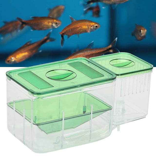 Fish Isolation Box Aquarium Incubator, Fish Breeder, Isolation Incubator For Injured Small Fish For Shrimp For Sea Clownfish