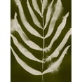 thumbnail image 2 of Barnes, Victoria 25x32 Black Ornate Wood Framed with Double Matting Museum Art Print Titled - Organic Bloom I, 2 of 4