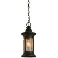 thumbnail image 2 of Meyda Tiffany 151877 Camp Uncas 8" Wide Mini Pendant - Wrought Iron, 2 of 5