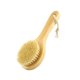 thumbnail image 1 of Cepillo corporal con mango corto, cerdas naturales, cepillo de baño de madera, exfoliante para hombros y espalda, cepillado en seco, cuidado de la piel, 1 of 5