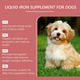 thumbnail image 2 of Pet Dog Syrup - Iron Support for Dogs with Peppermint Extract, Boosts Vitality & Energy, 2 of 5