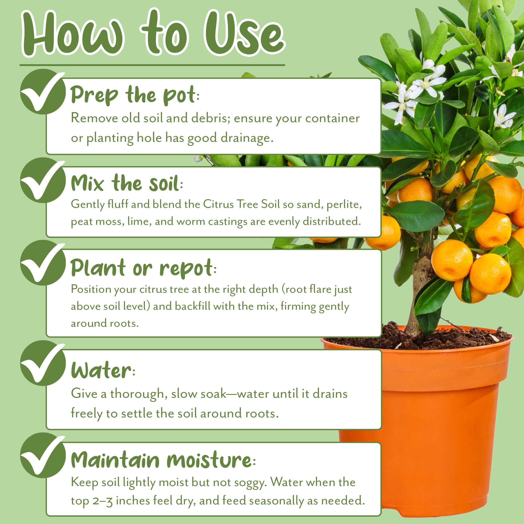 Citrus Tree Potting Soil Mix (8 Quarts), Special Blend for Indoor Oranges, Lemons, Limes and More