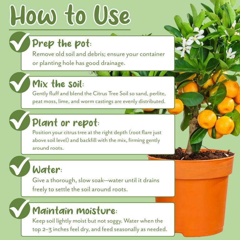 Citrus Tree Potting Soil Mix (12 Quarts), Special Blend for Indoor Oranges,  Lemons, Limes and More