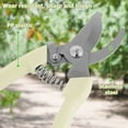 thumbnail image 4 of Stainless Steel Pruning Shears Non-slip Pruning Scissors with Lock Lightweight Garden Snips Hand Pruner Cutter for Arranging Flowers Trimming Plants Harvesting Fruits, 4 of 7