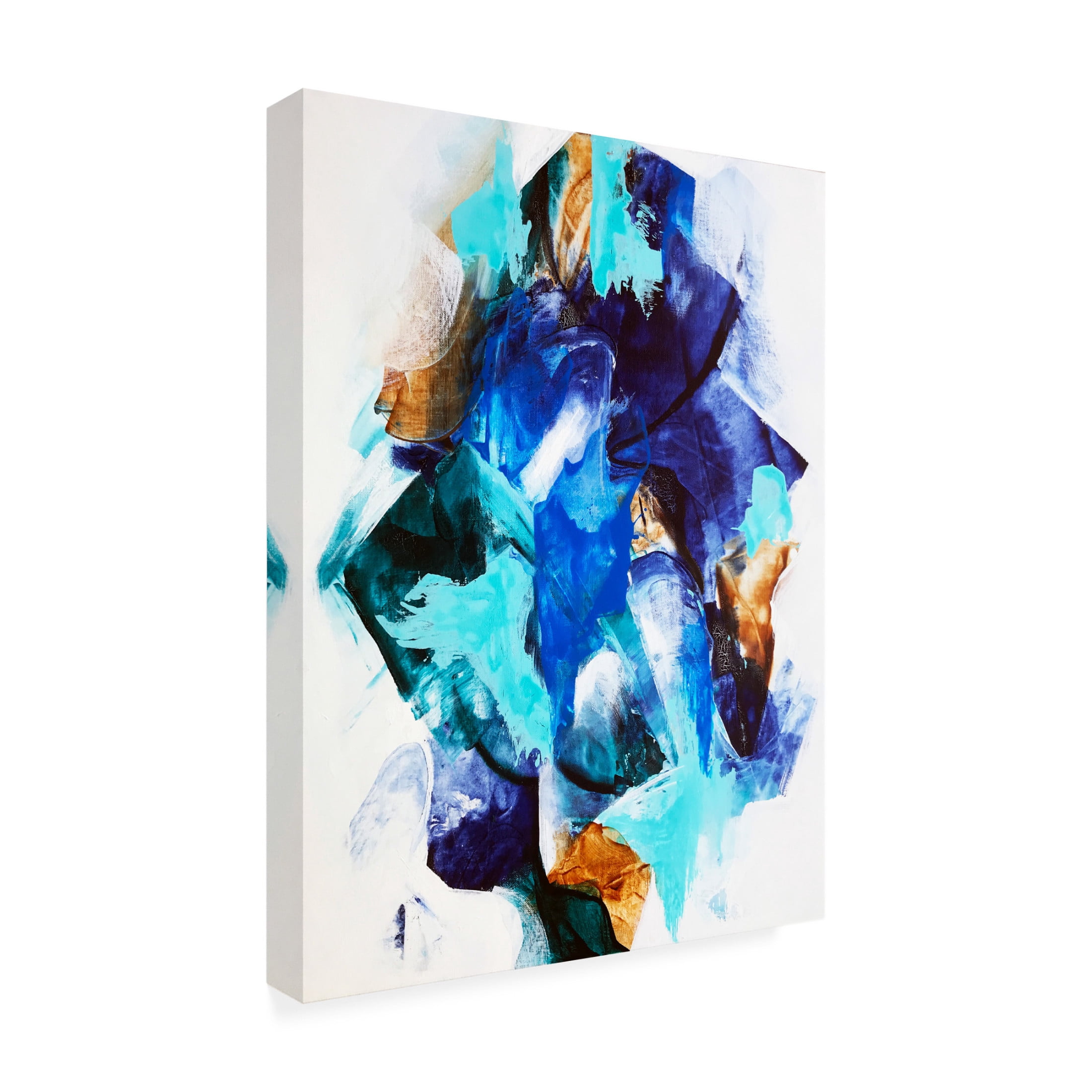 Trademark Fine Art Alyson Storms  Synthesis Canvas Wall Art