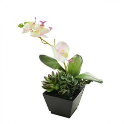 Artificial Orchids In Pots 13 Artificial White Pink and Green Orchid with Succulent Plants in a Decorative Square Black Pot ()