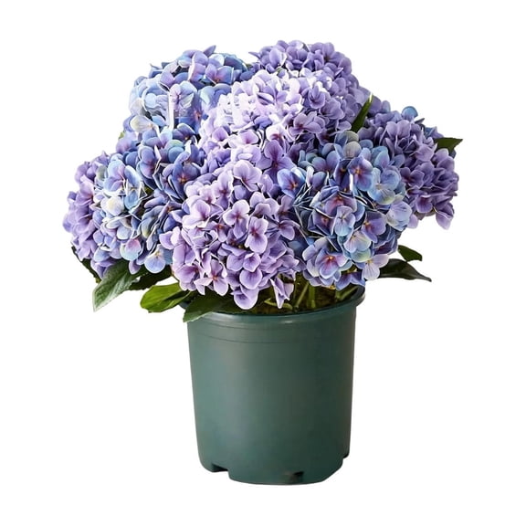 SUYOLL Realistic Artificial Hydrangea Bouquet Vibrant Faux Hydrangea Flower Decor For Home Living Room Bedroom Ornament Wedding Ceremony Party Layout