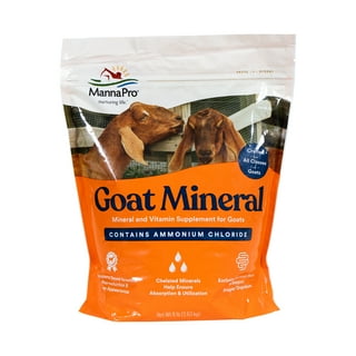 Goats milk esbilac hot sale walmart
