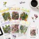 thumbnail image 2 of Zhuge 240 pegatinas de flores transparentes, pegatinas florales, pegatinas autoadhesivas de plástico, pegatinas de resina para hacer tarjetas, diarios, álbumes de cartas, 2 of 5