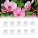 thumbnail image 2 of 50Pcs Transparent 6 Claws Orchid Clips Plastic Butterfly Flowers Support Clear Fixer For Garden Vine Stem Plants Climbing, 2 of 5