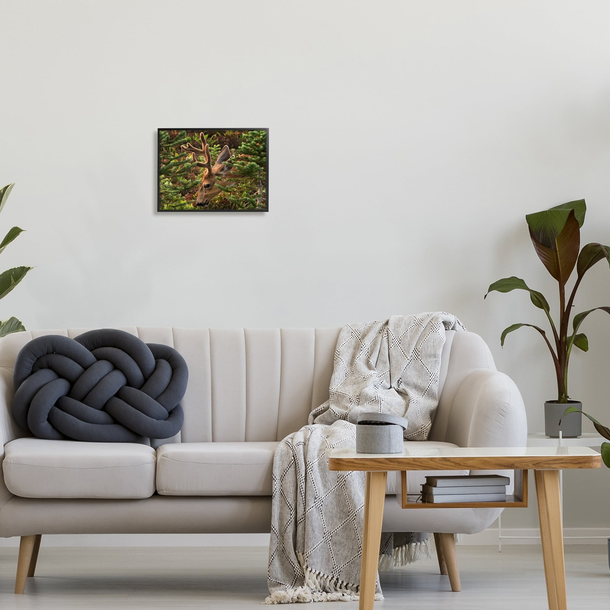 Stupell Industries Deer Forest Nature Vegetation Animals & Insects Photography White Framed Art Print Wall Art