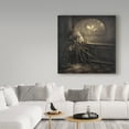 thumbnail image 3 of Trademark Fine Art 'Ida The Spider' Canvas Art by Kirk Reinert, 3 of 3
