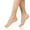 Yellow, variant on Spandex Socks for Women Black 6 Pairs Sheer Ankle Sock Lady Nylon High Stocking