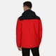 thumbnail image 3 of Regatta - Chaqueta Acolchada Highton para Hombre (Rojo Real, Marino Anochecer) Regatta UTRG5569_truerednightfallnavy, 3 of 5