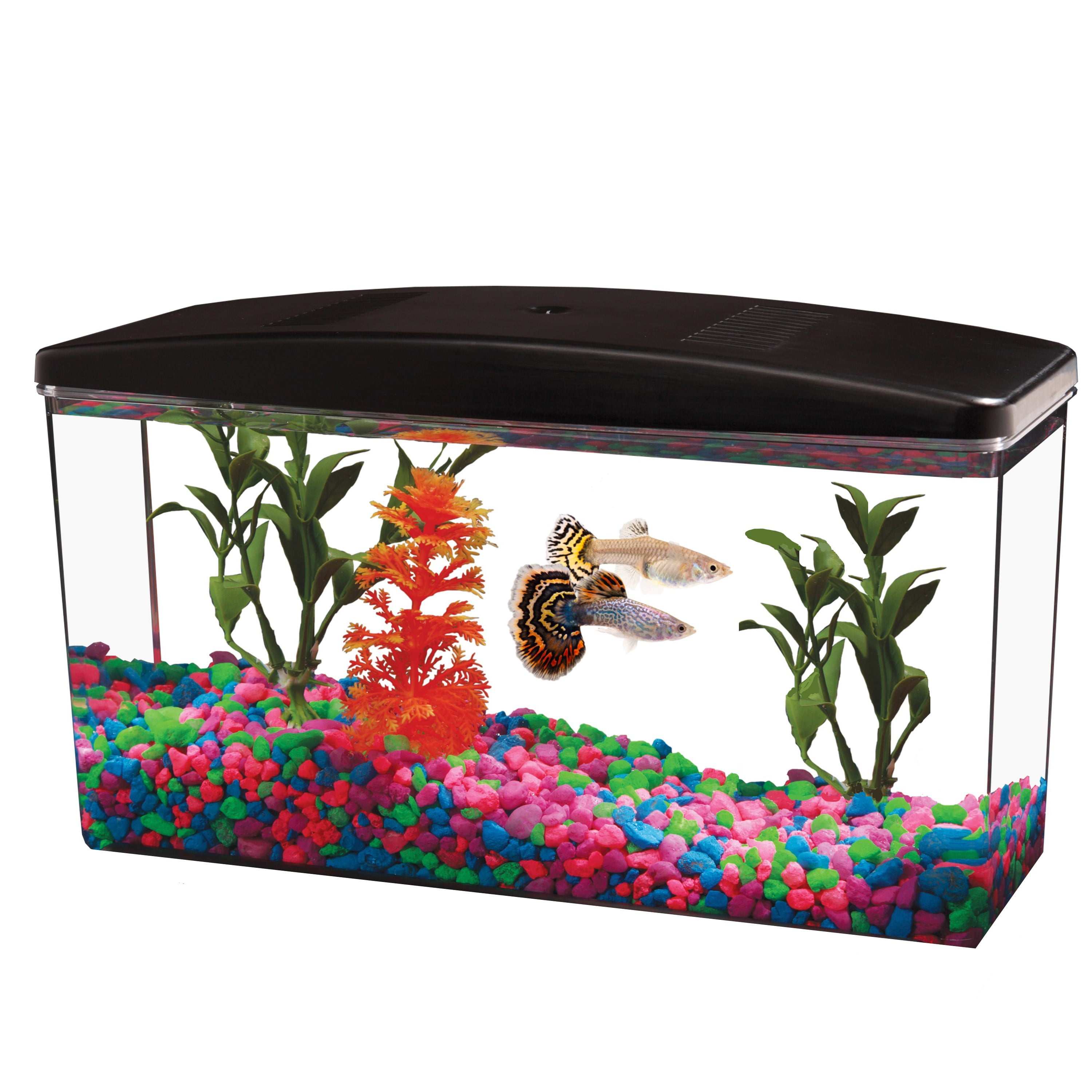 Aqua Culture Betta View 1/2-Gallon Fish Tank with Full Hood - Walmart.com