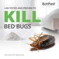 thumbnail image 2 of Bed Bug Killer Dust, 1 lb. | Natural Pumice Powder with Powerful Essential Oils for Indoor Treatment of Bugs Kills and Eggs by Contact Low-Odor Non-Staining Pest Control, 2 of 3