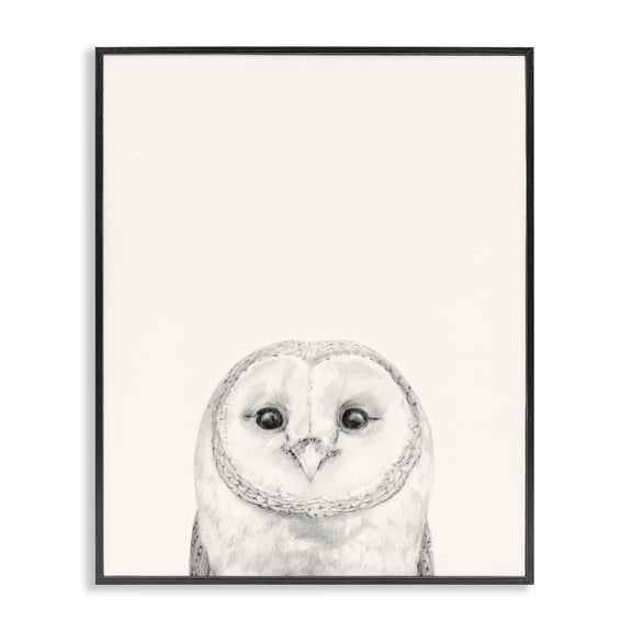 Stupell Industries Farmhouse Owl Portrait Grey Black Framed Giclee Art, 11 x 14, by Victoria Borges