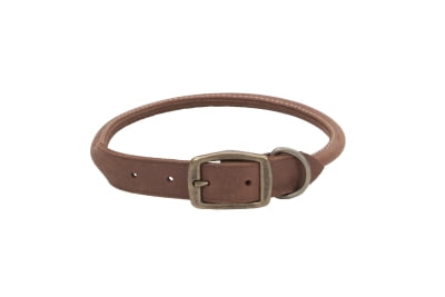rustic leather dog collar