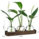 thumbnail image 2 of Plants Propagation Stations Glass Vase Station Retro Plant Terrarium with Wooden Tray Bulb Flower Vase Home Office Decor, 2 of 5