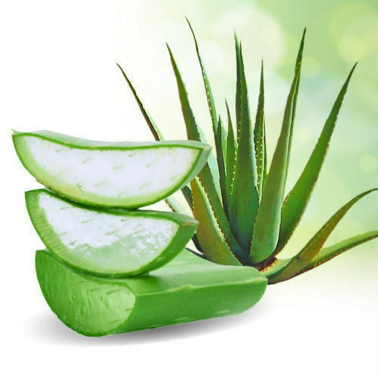 Aloe Cadabra Natural Aloe Lubricant, Organic, Glycerin Free, Water-Based,  2.5 oz, 2 Pack - Walmart.com