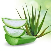 Aloe Cadabra Natural Personal Lube نباتي صالح للأكل Aloe Vera 2.5 oz 2 Pack