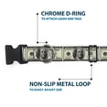 thumbnail image 5 of Buckle-Down Pet Collar, Dog Collar Plastic Buckle, 100 Dollar Bills, 9.5 to 13 Inches 1.0 Inch Wide, 5 of 8