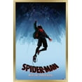 thumbnail image 1 of Marvel Spider-Man - Dans le Spider-Verse - Chute, 1 of 4