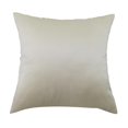 thumbnail image 1 of Funda de cojín de sofá de acogedor super suave de color liso Beige_50x50cm Zulema Funda de almohada de terciopelo, 1 of 8