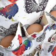 thumbnail image 2 of Egg Gathering Apron, Egg Gathering Apron With 12 Egg Pockets, 2 of 3